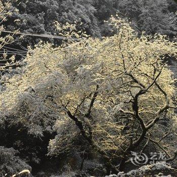 花筑·建德罗隐山居民宿酒店提供图片