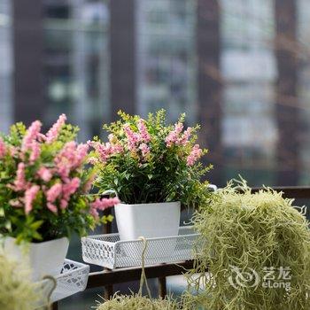 �ɶ�·�;�Ʒ����BE0970(�ٽ���·�ֵ�)�Ƶ��ṩͼƬ