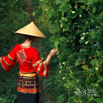 保亭布隆赛度假屋别墅酒店提供图片