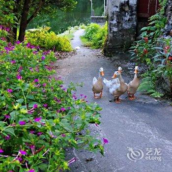 望山生活·婺源酒店提供图片