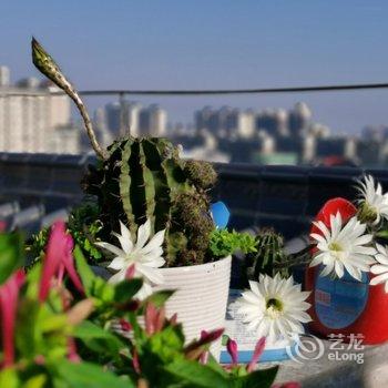西安东骊人家公寓酒店提供图片