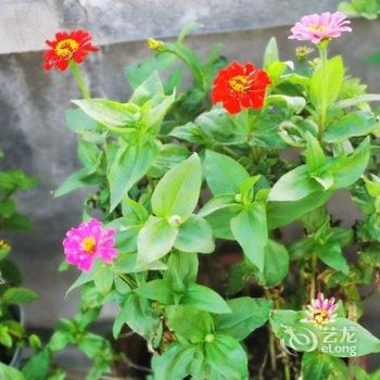 西安东骊人家公寓酒店提供图片