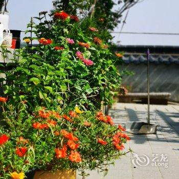 西安东骊人家公寓酒店提供图片