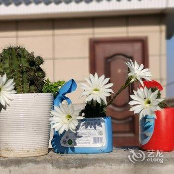 西安东骊人家公寓酒店提供图片
