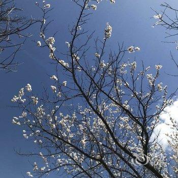 北京节气山房民宿酒店提供图片