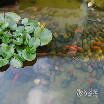 上海谧舍井·花间集精品民宿酒店提供图片