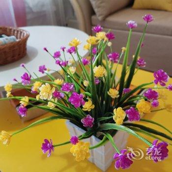 �����ܰ�Ƶ깫Ԣ�Ƶ��ṩͼƬ