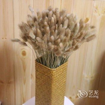 西安M·莲花民宿酒店提供图片