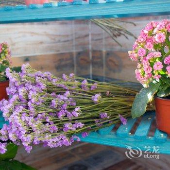 西安暖树民宿酒店提供图片