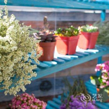 西安暖树民宿酒店提供图片