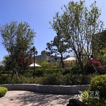 青岛阿里波特公寓酒店提供图片