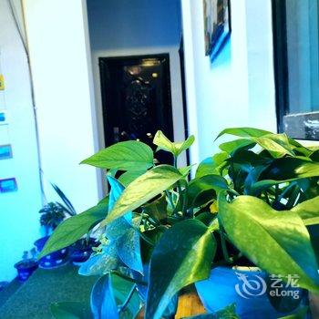 拉萨格林花园客栈酒店提供图片