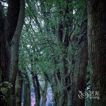 无锡山居壹聚民宿酒店提供图片