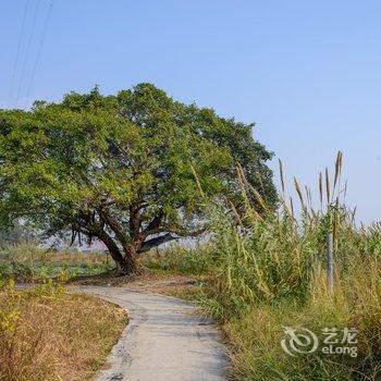 花筑·温州大隐栖都民宿酒店提供图片