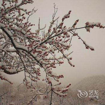 北京节气山房民宿酒店提供图片