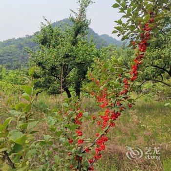 北京节气山房民宿酒店提供图片