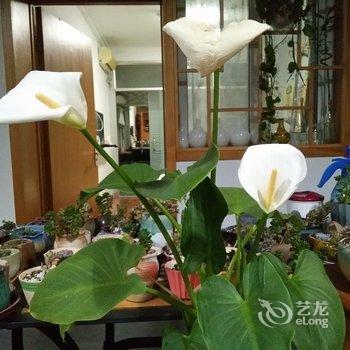 北京WE爱主题民宿酒店提供图片