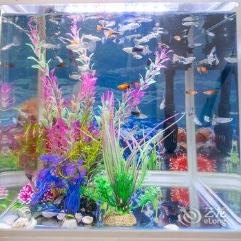 青岛五四广场奥帆中心公寓(南京路分店)酒店提供图片