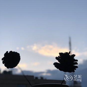 西安刘小小公寓酒店提供图片