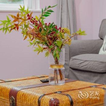 成都燕舍公寓(总府路东口分店)酒店提供图片