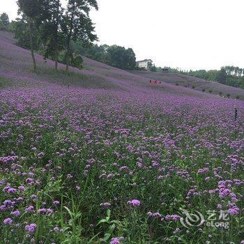 重庆御玖庭商务酒店酒店提供图片