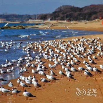 如家睿柏·云酒店(北戴河老虎石海滨浴场店)酒店提供图片