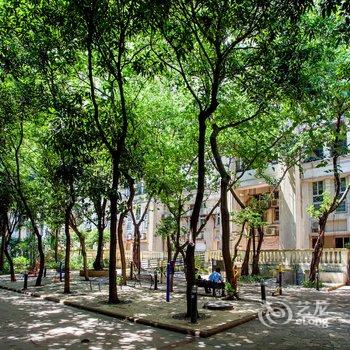 广州小老许公寓酒店提供图片