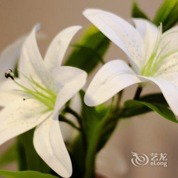 重庆路客精品民宿AB0880酒店提供图片