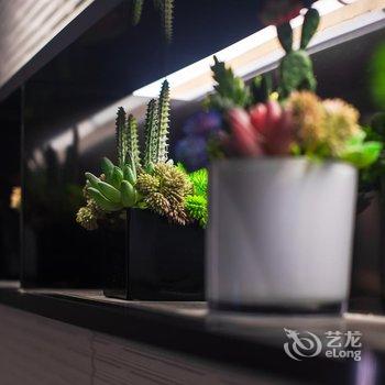 如家商旅酒店(中山利和广场体育路店)酒店提供图片