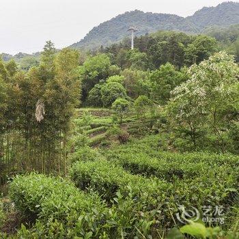峨眉山欣怡轩民宿酒店提供图片