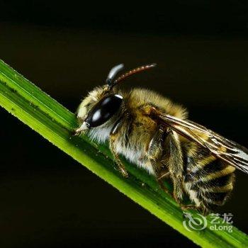 重庆竹里馆酒店酒店提供图片