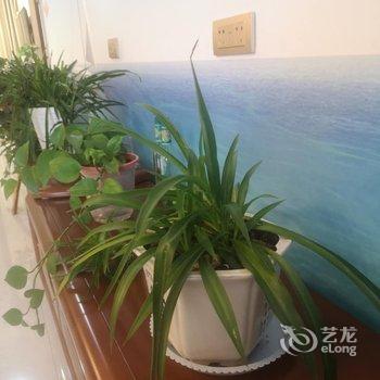 栾川清雅山居酒店提供图片