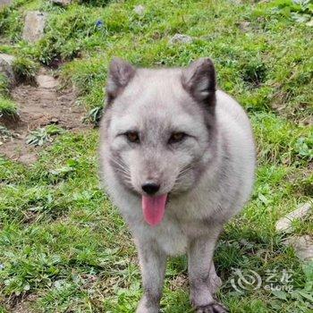 老闫客栈(聚灵峡灵山风景区店)酒店提供图片