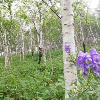老闫客栈(聚灵峡灵山风景区店)酒店提供图片