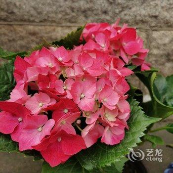 青岛路斌民宿酒店提供图片