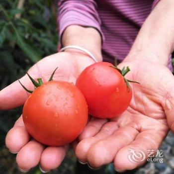 广州玉溪古荔园精品民宿酒店提供图片