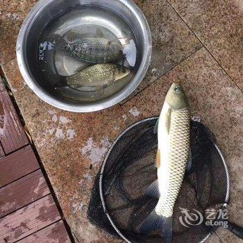 广州玉溪古荔园精品民宿酒店提供图片