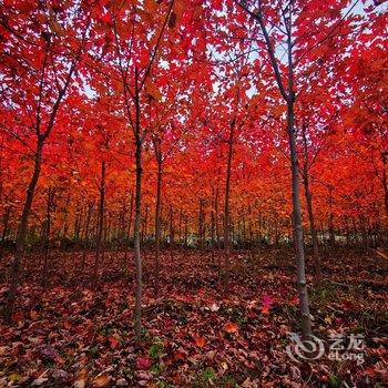北京好亲戚民俗农家乐酒店提供图片