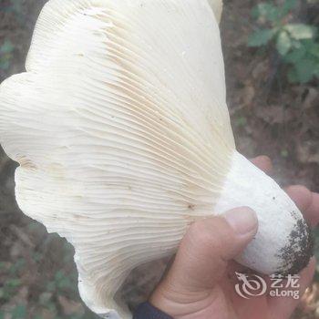 北京好亲戚民俗农家乐酒店提供图片