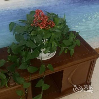 栾川清雅山居酒店提供图片