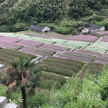 余姚茶香小院民宿酒店提供图片