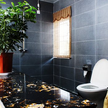 酒店图片-乐山富丽华大酒店-114订房官网