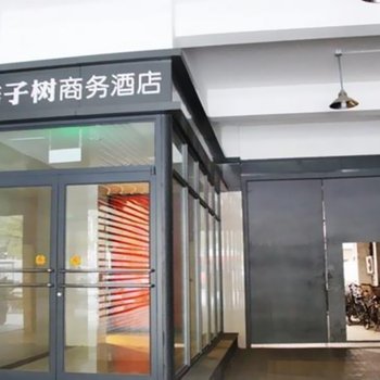 石家庄桔子树商务酒店