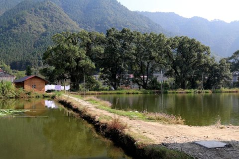 浮梁聚缘原生态农庄 [浮梁县]  瑶里古镇南泊村麻仓景区景瑶线公路旁