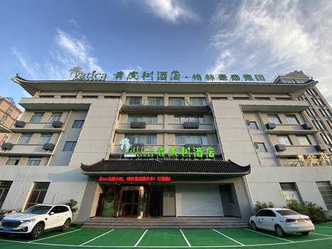 青皮树酒店(安庆吾悦广场博爱医院店)