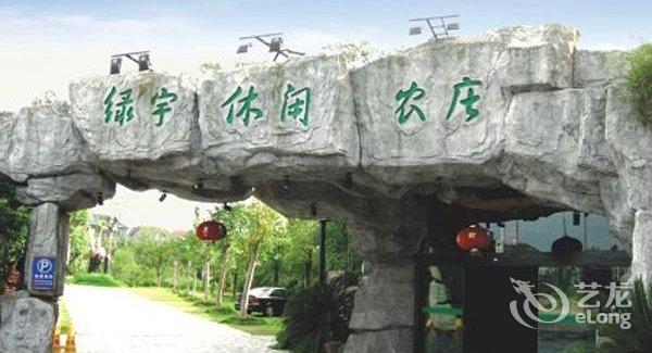 杭州采摘园里的一抹清新绿意