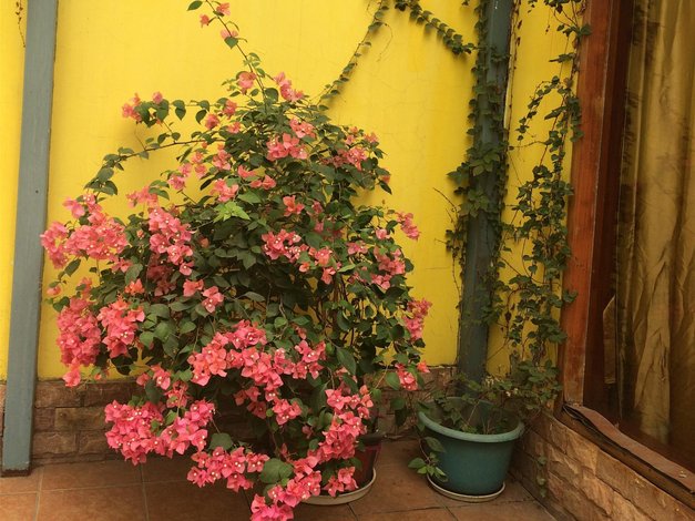 夏商怡庭快捷酒店(厦门中山路白兰店)