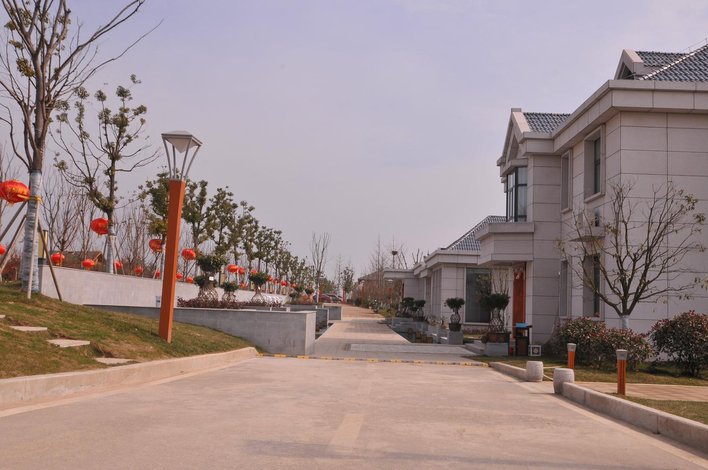 【临泉木一博览园】地址:姜寨镇杨楼277号 – 艺龙旅行网