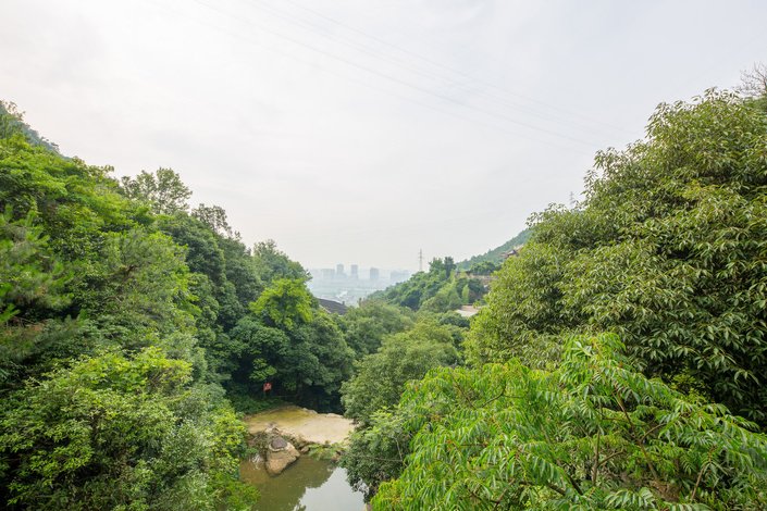 温州吹台山森林民宿