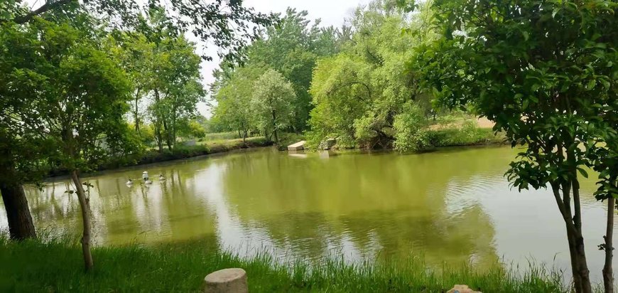 【揚州建華人家農莊】地址:汊河街道建華村 – 藝龍旅行網